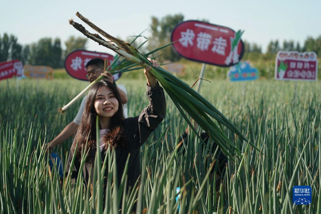 乐虎app